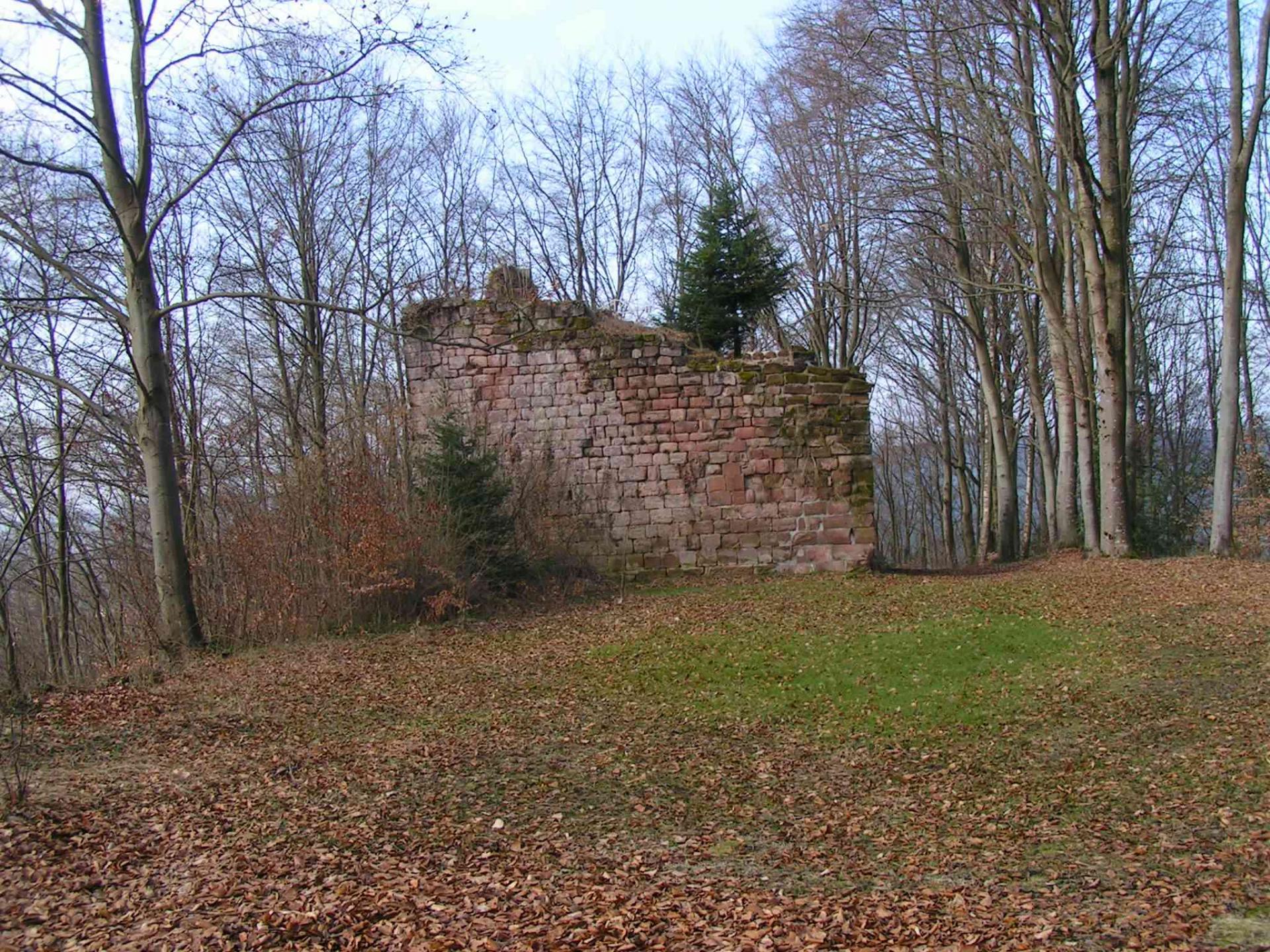 Ruines du chateau